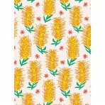 All Wrapped Up | Notecards | Australia by Alice Oehr | Set of 16
